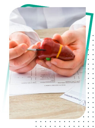 Médico da CDMED mostrando um orgão de borracha